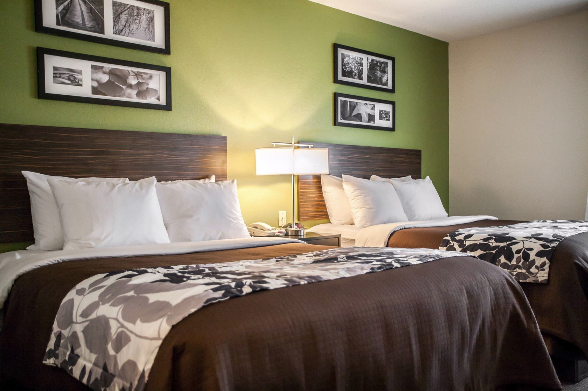 Sleep Inn&Suites Metairie Chambre photo